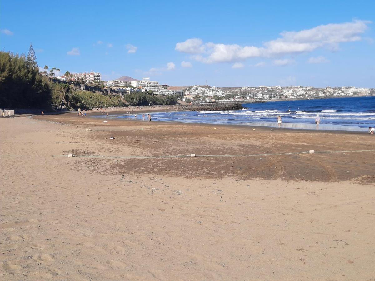 Centrico Molinos 135 Playa del Inglés